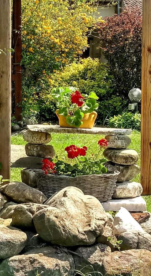 Hărman Casa Din Coltul Cetatii 빌라 외부 사진