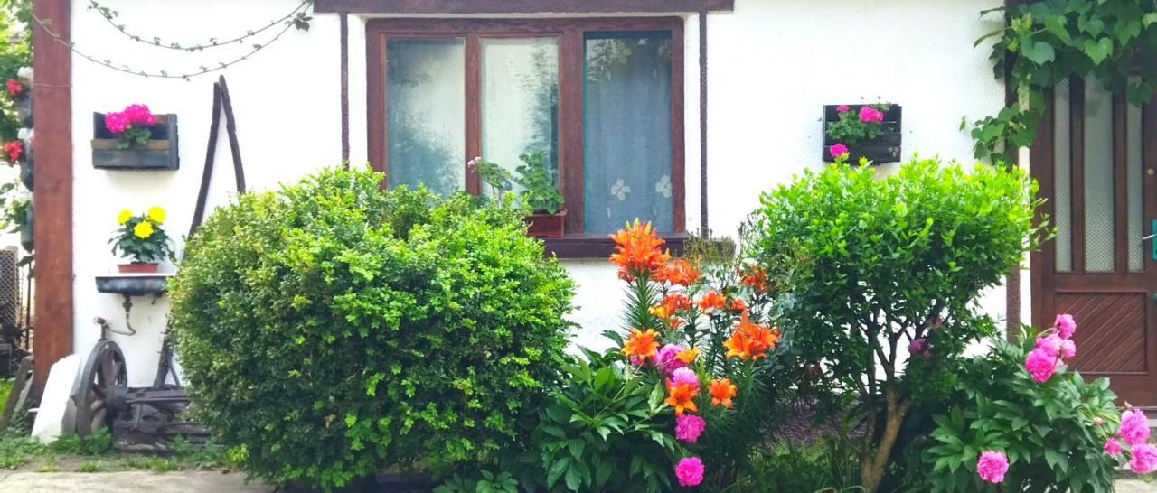 Hărman Casa Din Coltul Cetatii 빌라 외부 사진